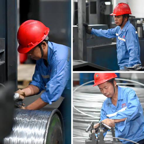 1719565247722548fATA.png WPSƴͼ0(1).png