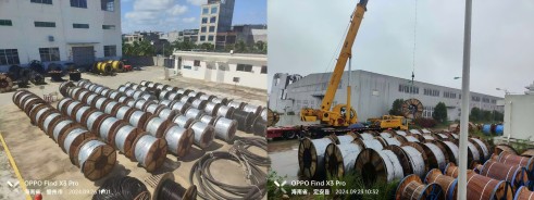 1729818043645586splG.jpg 50ea573c56944e275d0ccb19a4ee7a5(1).jpg