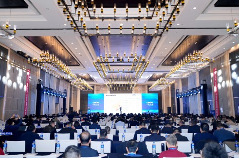 1734944221314656RWVl.jpg a69fff81d82d55bd13228bc847752b6(1).jpg