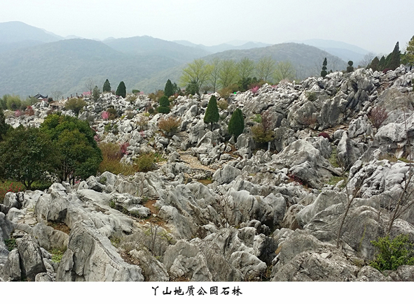 й(bwķ)޹˾-Official website