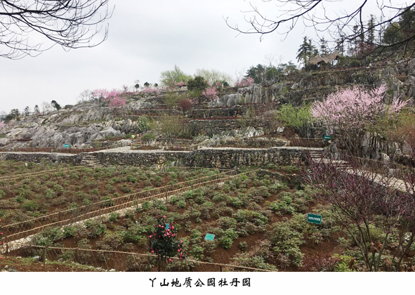 й(bwķ)޹˾-Official website