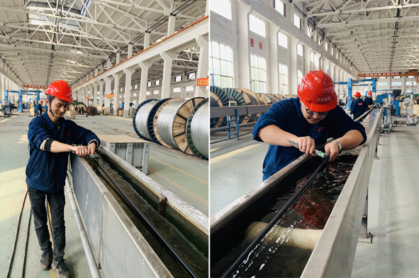 中国·必威(bw·西汉姆联)有限公司-Official website