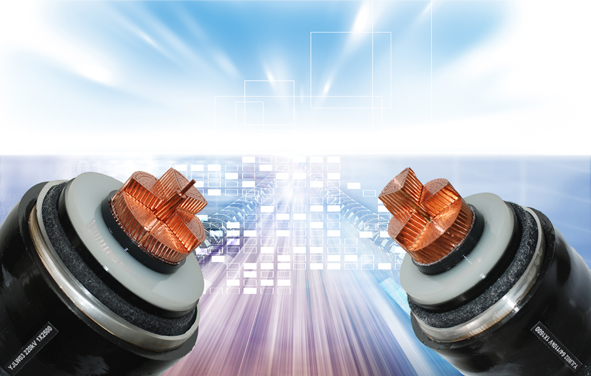 中国·必威(bw·西汉姆联)有限公司-Official website